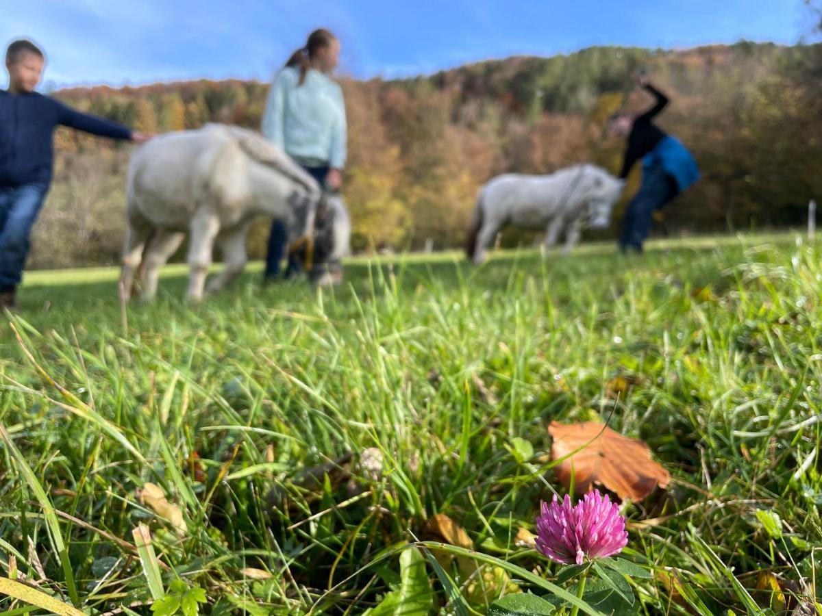 Ferienwohnung Buechlhof - App. Himmelalm Lilienfeld Exterior foto