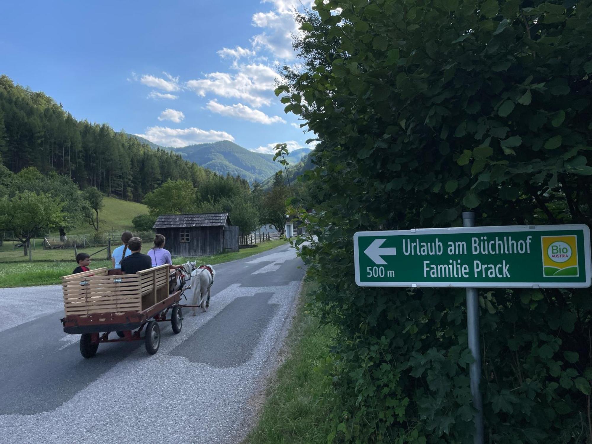 Ferienwohnung Buechlhof - App. Himmelalm Lilienfeld Exterior foto